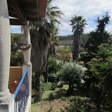 Casa Amarela Apartment Sao Pedro de Tomar Exterior foto