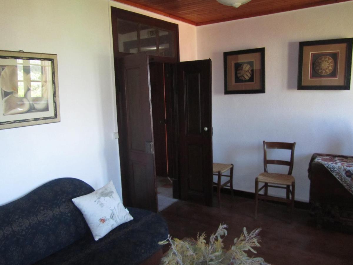 Casa Amarela Apartment Sao Pedro de Tomar Exterior foto